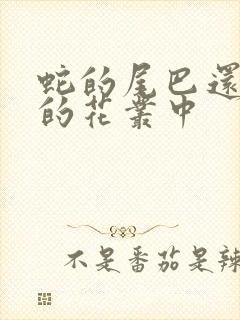 蛇的尾巴还在我的花丛中