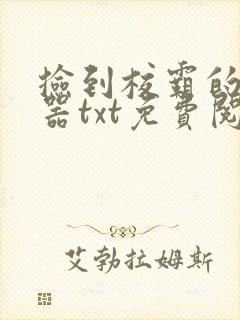 捡到校霸的遥控器txt免费阅读