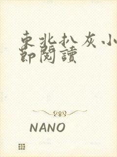 东北扒灰小说分节阅读