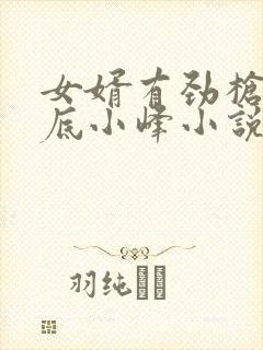 女婿有劲枪枪到底小峰小说