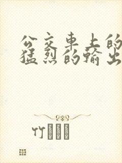 公交车上的诗请猛烈的输出阅读