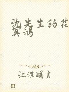 沈先生的花式调冥鸿