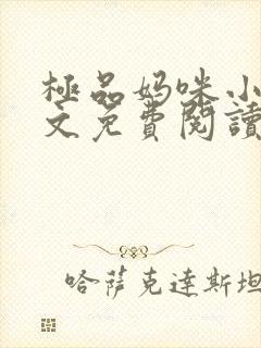 极品妈咪小说全文免费阅读