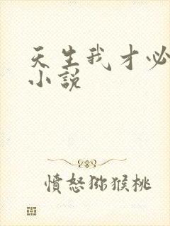 天生我才必有用小说