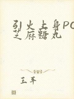 引火上身POP芝麻糖丸