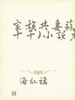 家族共妻苏苏(十千)小说免费