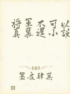 将军不可以魏云真慕迟小说笔趣阁