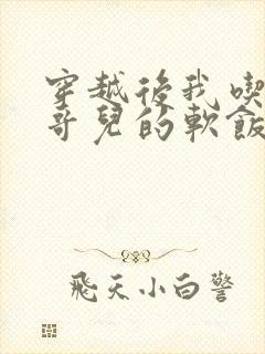 穿越后我吃到了哥儿的软饭炉山灰