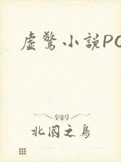 虚惊小说PO