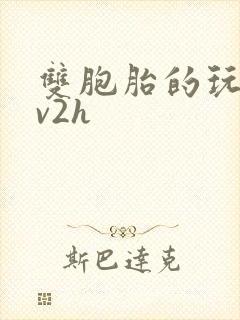 双胞胎的玩具1v2h