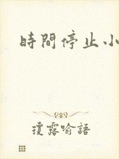 时间停止小说