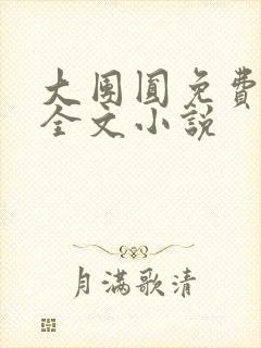 大团圆免费阅读全文小说