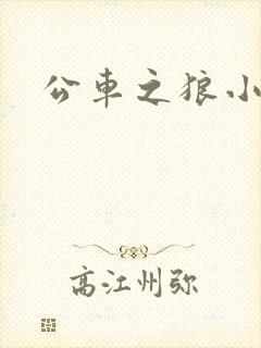 公车之狼小说