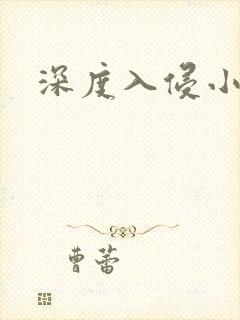 深度入侵小说