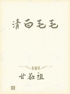 清白毛毛