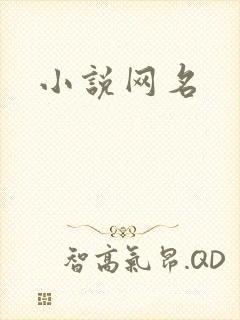 小说网名