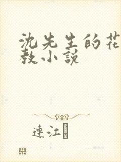 沈先生的花式调教小说