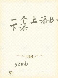 一个上添B一个下添