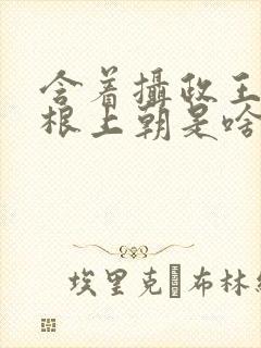 含着摄政王的紫根上朝是啥小说