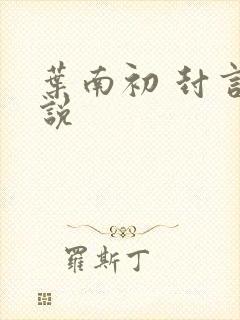 叶南初 封言小说