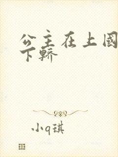 公主在上国师请下轿