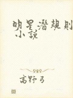 明星潜规则之皇 小说