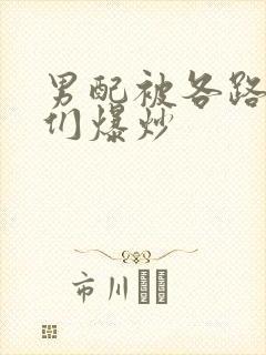 男配被各路大佬们爆炒