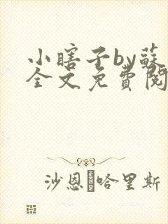 小瞎子by苏软全文免费阅读