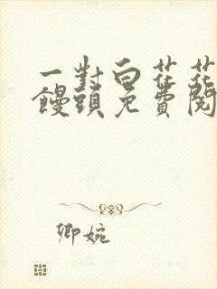 一对白花花的大馒头免费阅读