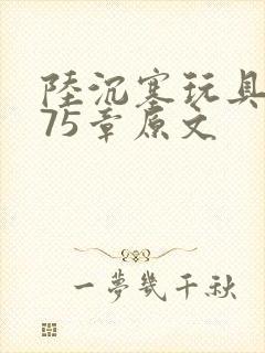 陆沉塞玩具高速75章原文