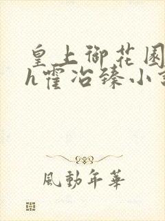 皇上御花园hlh霍冶臻小说