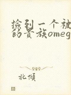 捡到一个被抹布的贵族omega