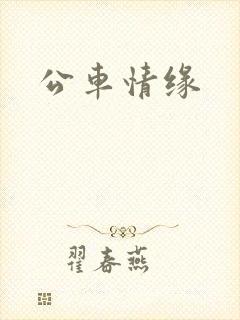 公车情缘