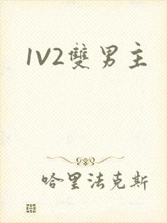 1V2双男主