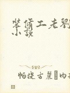 装修工老刘林雪小说