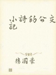 小诗的公交车日记