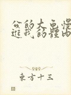 公的大龟慢慢挺进我的体内