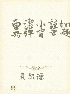 白洁小说txt无弹窗笔趣阁