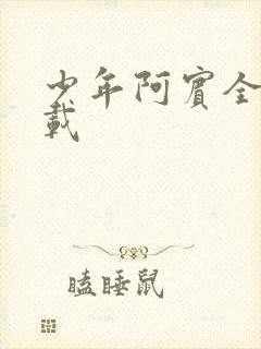 少年阿宾全集下载