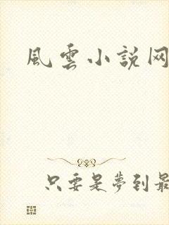 风云小说网