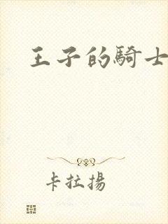 王子的骑士小说