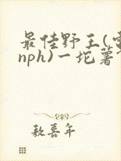 最佳野王(电竞nph)一坨薯饼