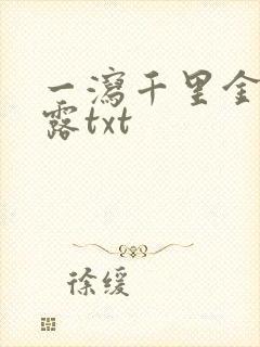 一泻千里金银花露txt