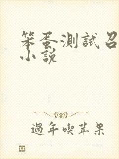 笨蛋测试召唤兽小说