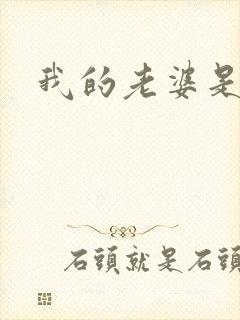 我的老婆是军阀