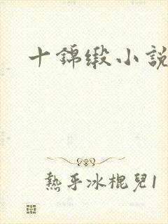 十锦缎小说