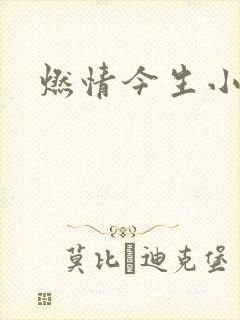 燃情今生小说
