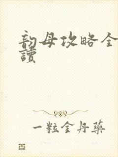 韵母攻略全文阅读