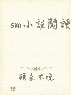 sm小说阅读