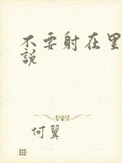 不要射在里面小说